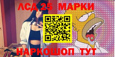 молекула духа Новозыбков