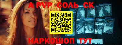 индика Новодвинск