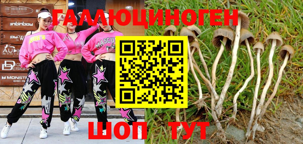 Псилоцибиновые грибы Magic Shrooms Черняховск