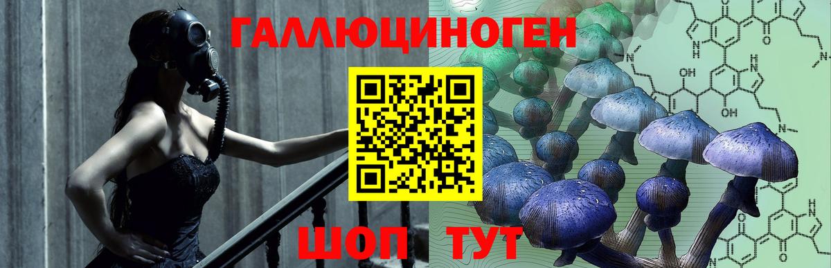 Черняховск  Псилоцибиновые грибы Magic Shrooms  Вход с VPN 